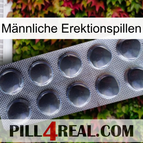 Männliche Erektionspillen 30.jpg